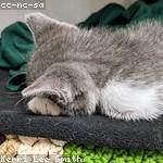 Kitty Bechtelar Profile Picture
